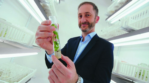 bioceres_federicotrucco