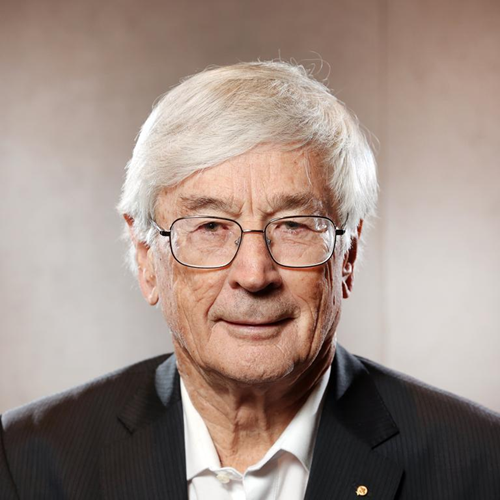 Dick Smith Electronics leader de la distribution électronique