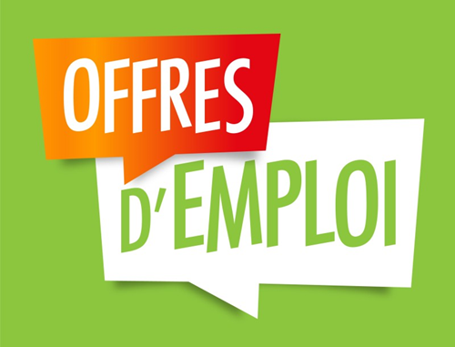 Opportunité emploi - Carrière IA & Management