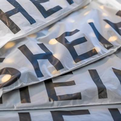 action contre Shein en France