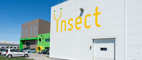Usine de Ynsect